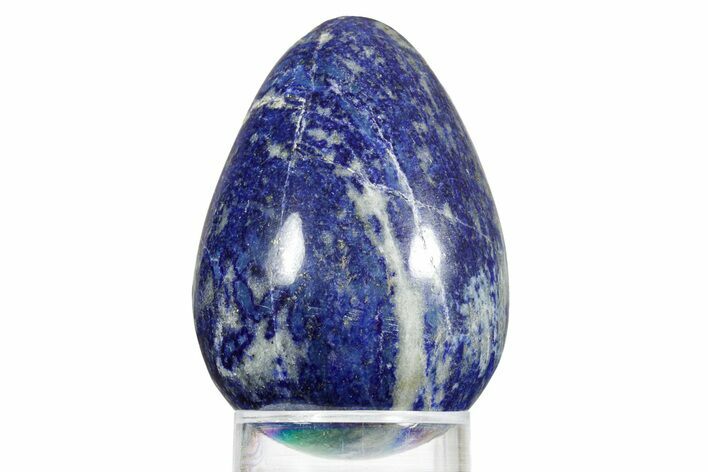 Polished Lapis Lazuli Egg - Pakistan #352495